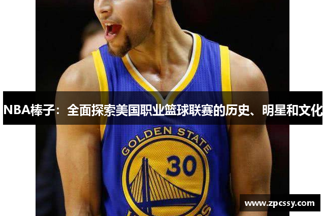 NBA棒子：全面探索美国职业篮球联赛的历史、明星和文化